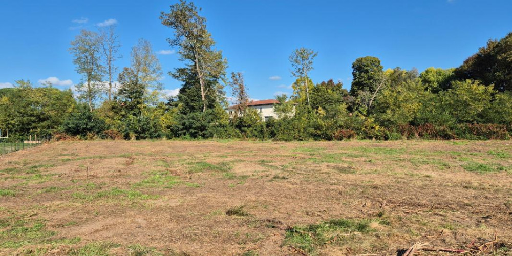 terrain à RION DES LANDES (40370)